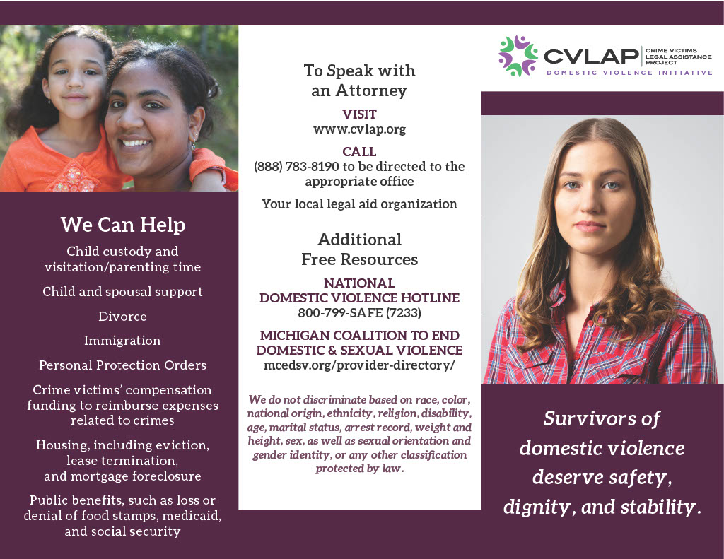 Domestic Violence Initiative brochure cover image
